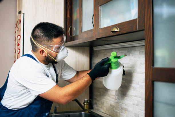 Best Insect Control  in Godfrey, IL