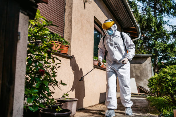 Best Affordable Pest Control Services  in Godfrey, IL