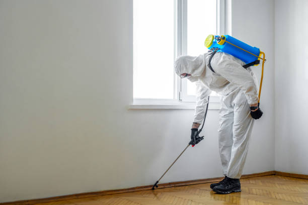 Best Flea Control Services  in Godfrey, IL
