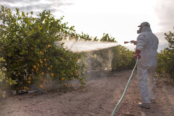 Professional Pest Control in Godfrey, IL