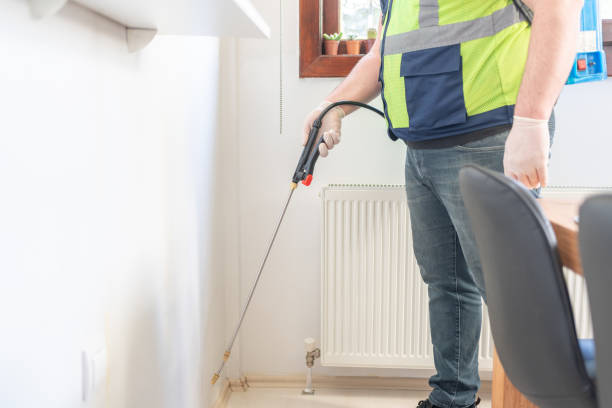 Best Termite Control Services  in Godfrey, IL