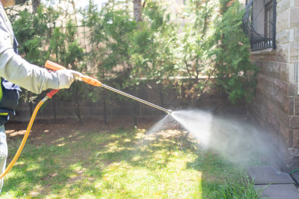 Best Local Pest Control Services  in Godfrey, IL