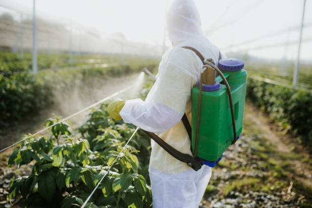 Best Affordable Exterminators  in Godfrey, IL